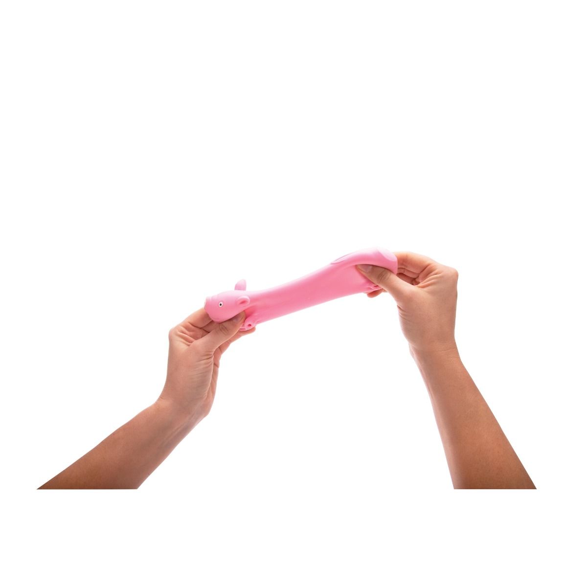 Stretchy Playful Pig
